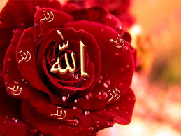 صور خلفيات اسم الله بحث Google