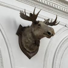 What's the german word for elk? Tiny Monsters And Giant Antlers The German Museum Of Hunting And Fishing In Munich As Long As It S Black