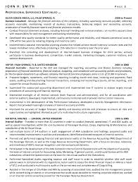 financial controller resume sample