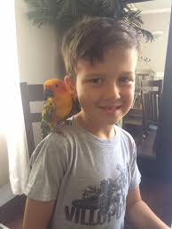 Lost Sun Conure 'Connie Bird' in Somerset, CA