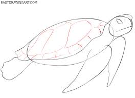Today, i show you a few easy to follow and even easier to do steps of how to draw a turtle. How To Draw A Sea Turtle Easy Drawing Art