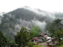 Flood, tsunami, natural disaster, flood; 3 Reasons To Visit The Cameron Highlands Despite The Winding Road David Haggett
