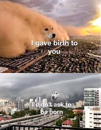 I Didn T Ask To Be Born Meme By Painwastaken Memedroid