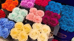 It is definitely possible to make flowers last forever and all it takes is to know some simple tips and tricks for you to enjoy their lively colors and relaxing scent for a. The Truth About Forever Roses
