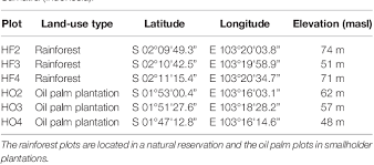 Rainforest can be classified as tropical rainforest or temperate rainforest, but other types have been described. Differences In Root Nitrogen Uptake Between Tropical Lowland Rainforests And Oil Palm Plantations Semantic Scholar