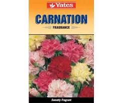 Yates Fragrance Carnation Flower Seeds Carnations Food Animals