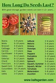 How Long Do Seeds Last Really Home Vegetable Garden Garden Seeds Food Garden