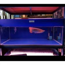 Maybe you would like to learn more about one of these? Blue And Black Aquarium Background Back Leads Shopee Philippines