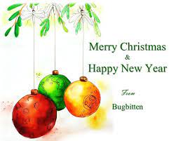 Religious merry christmas wishes these religious merry christmas wishes make reference to god, jesus, and the first christmas. Merry Christmas From Bugbitten Bugbitten