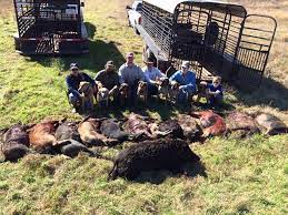 This is a hog shoot with the additional use of our guns. Hog Hunting Near Houston Texas Guided Hunts Karankawa Plains Outfitting Co