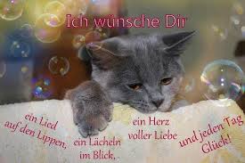 A2 4,25 x 5,5 zoll menge: Pin Von Super Perle Auf Katzen Susse Geburtstagsspruche Alles Gute Geburtstag Alles Gute Zum Geburtstag Wunsche