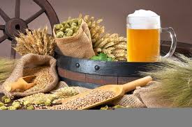 Deutschland Feiert 500 Jahre Reinheitsgebot Fur Das Lieblingsgetrank Fast Aller Camper Grund Genug Fur Uns Auf Bier Tou Wohnmobil Touren Wohnmobil Brauerei
