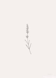 Lavender Lavender Lavender Tattoo Wildflower Tattoo Minimalist Tattoo