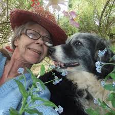 I am broken hearted but I have to find a new loving home for our 18m old  male Sprollie. Any advice