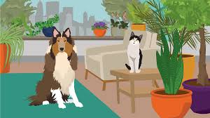 Lilies, marijuana, sago palm, tulip and narcissus bulbs, azalea and rhododendron, oleander, castor bean, cyclamen, kalanchoe, yew, amaryllis, autumn crocus, chrysanthemum, english ivy, peace lily, pothos, and schefflera are all common houseplants that could cause problems like minor irritations in. Houseplants Safe For Cats And Dogs Fix Com