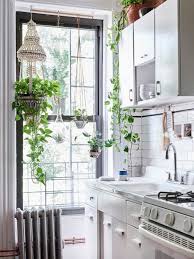 Plante Interieur Dans La Cuisine Inspiration Deco En Photos Inspiration Deco Cuisines Lumineuses Deco
