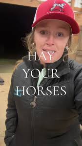 Haley Farris Horses