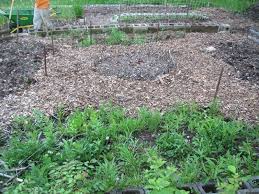 We did not find results for: The Circle Garden Design For Productive Gardening Tenth Acre Farm