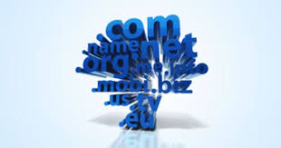 Value Technologies Pakistan Providing Domain Registration Around The Globe For All Customers Domain I Domain Registration Hosting Company User Centered Design