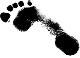 Download the perfect footprint pictures. 9 Grunge Footprint Png Transparent Onlygfx Com
