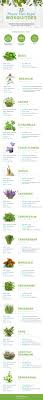 Crush a few leaves to release the smell. 15 Plants That Repel Mosquitoes Proflowers