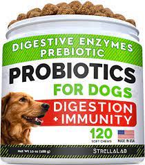 The king's scalp was shaved and a blister raised. Best Dog Probiotics Buying Guide Gistgear