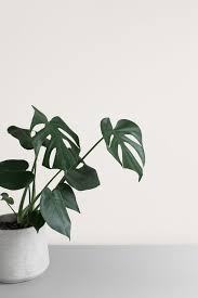 Maybe you would like to learn more about one of these? Simple Aesthetic Minimalist Photos Minimalist Wallpaper