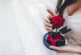 A lasting symbol of your love. Forever Blooming Roses Notta Belle