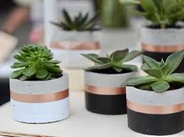 Cylinder Concrete Planter Succulent Pot Etsy Concrete Planters Succulent Pots Planters