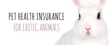 Our pet insurance comparison pits providers head to head, with charts that compare deductibles do you offer a comparison of exotic pet insurance? Pet Health Insurance For Exotic Animals Small Pet Select