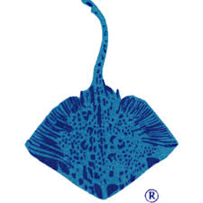 Maybe you would like to learn more about one of these? Raya Hotel Resort