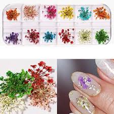 Dried flowers leaf nail decoration natural floral stickers 3d nail art decals. Yiding Dried Flowers Nail Decorations From Natural 12 Colors Mini Rea Ninthavenue Europe
