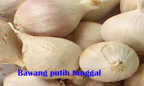 Bawang putih berkhasiat mengobati demam, batuk, sakit perut, sakit kepala, sinusitis, masalah tekanan darah, kolestrol tinggi, bahkan bisa sebagai penangkal bisa ular. Khasiat Bawang Putih Dan Bawang Putih Tunggal For Android Apk Download