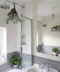 Eucalyptus Doesn T Just Smell Pretty When You Hang It In Your Shower Also Known As A Eucalyptus Bath Bouqu Eucalyptus Shower Bathtub Remodel Fresh Eucalyptus