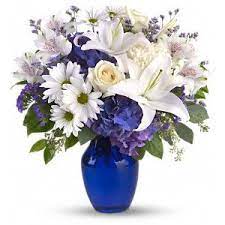 Maybe you would like to learn more about one of these? Occasions Montgomery Al Florist Flowers By Buck