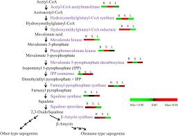 Image result for Entada phaneroneura