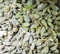 Image result for Pimpinella