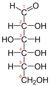 Most adults with diabetes should eat no more than 200 carbohydrate grams per day. How Many Carbohydrate Molecules Are In One Gram Of Carbohydrates Quora