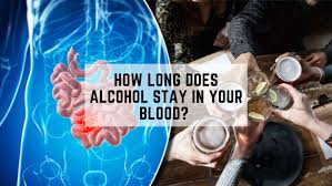 Maybe you would like to learn more about one of these? How Long Does Alcohol Stay In Your Blood The Dots