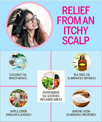 Home Remedies For An Itchy Scalp Femina In