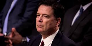 Homemade cart makes pup mobile again