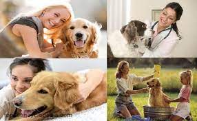 Best Things To Take Care Of Pet Animals At Home Animals Pets Golden Retriever