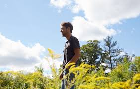 Image result for Yellow 2020 Fleet