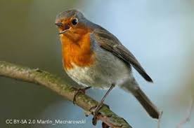 Markt Schwaben Aktiv