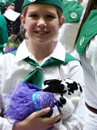 4-H Small Animal Field Day