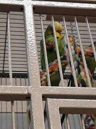 Our global pet nutrition center. Global Pet Foods 21 Photos Pet Stores 1021 Cyrville Road Ottawa On Phone Number