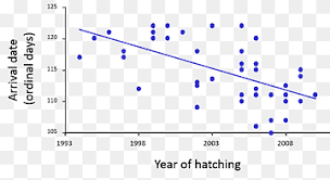 We did not find results for: Graph Of A Function Black Tailed Godwit Plot Bird Migration Hatching Pattern Blue Angle Animals Png Pngwing