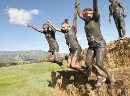 Baits can be designed by combining transcriptome data with information from reference genomes (rellstab, dauphin, zoller, brodbeck, & gugerli, 2019; Manitoba Mudrun Picture Of Dauphin Manitoba Tripadvisor