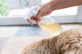 Maybe you would like to learn more about one of these? 7 Natural Home Remedies For Itchy Dogs