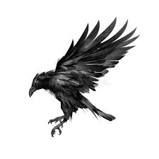 Black And White Raven Drawing Image Result For Raven Flying Drawing Raven Flying Raven Tattoo Crow Tattoo